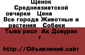 Щенок Среднеазиатской овчарки › Цена ­ 35 000 - Все города Животные и растения » Собаки   . Тыва респ.,Ак-Довурак г.